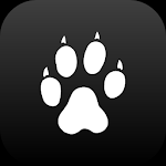 Cheetah icon