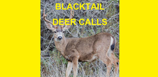 Blacktail Deer Calls Sounds PC screenshot