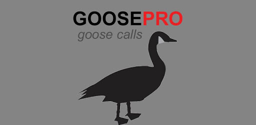 Goose Calls for Hunting PC screenshot