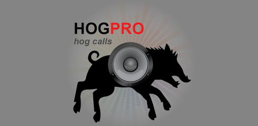 Wild Boar Calls for Hunting PC screenshot