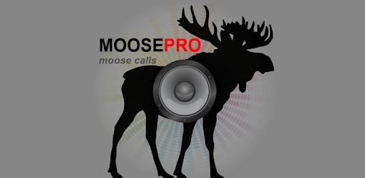 Moose Calls for Hunting Moose PC screenshot