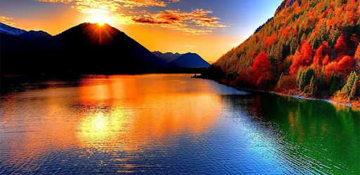 Reflection Quotes:Thought of the Day, Life quotes PC screenshot