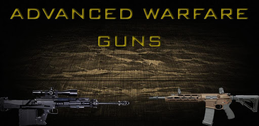 Advanced Warfare Guns PC screenshot