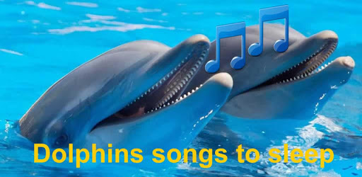 Dolphins songs to sleep PC screenshot