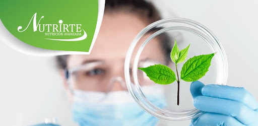 Nutrirte PC screenshot