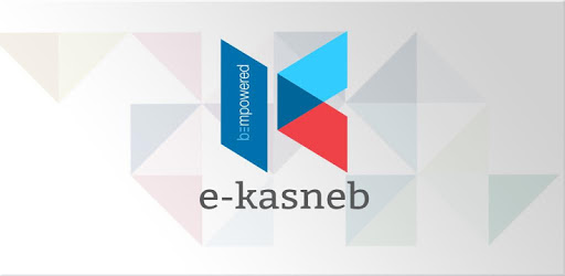 e-Kasneb PC screenshot
