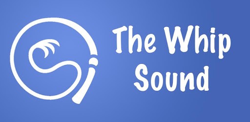 The Whip Sound PC screenshot
