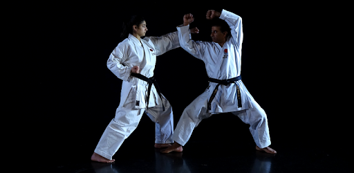 PocketPT - Shotokan Karate PC screenshot