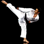 PocketPT - Shotokan Karate for PC