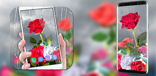 Rose Live Wallpaper 2018 with Waterdrops PC screenshot Rose Live Wallpaper 2018 with Waterdrops PC screenshot