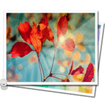 Image Gallery icon