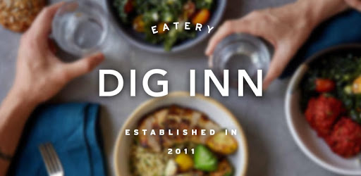 Dig Inn PC screenshot