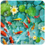 Real Fish Live Wallpaper for PC Real Fish Live Wallpaper for PC