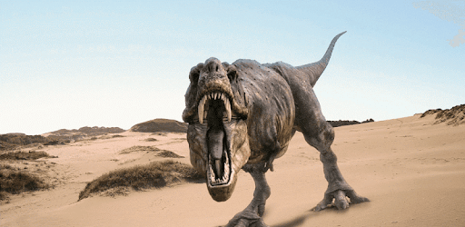 Dinosaur flash cards - free PC screenshot