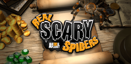 Real Scary Spiders PC screenshot