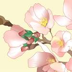 [Floral Illust] Cherry Atom for PC