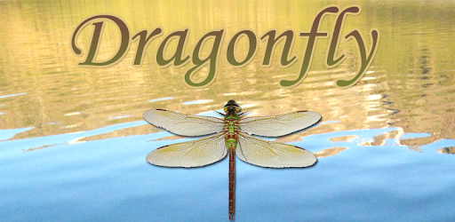 Dragonfly PC screenshot