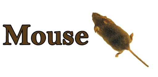 Mouse PC screenshot Mouse PC screenshot