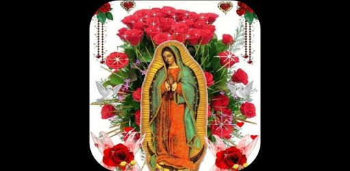 Virgin Of Guadalupe Roses Live Wallpaper PC screenshot