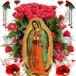 Virgin Of Guadalupe Roses Live Wallpaper icon