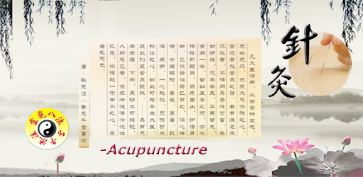 Chrono-Acupuncture PC screenshot