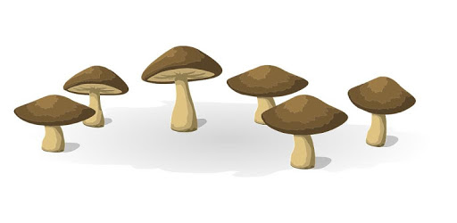 Mushrooms PC screenshot Mushrooms PC screenshot