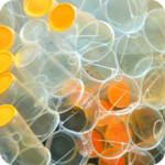 Plastics icon