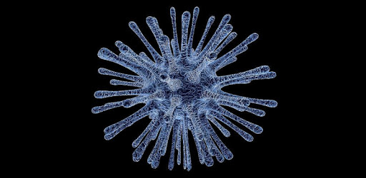 Viruses PC screenshot