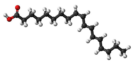 Fatty acids PC screenshot