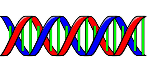 Molecular genetics PC screenshot