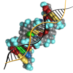 Molecular genetics icon