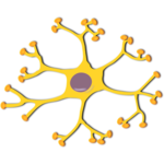 Neurophysiology icon