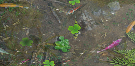 Live Lovely Koi Wallpaper PC screenshot Live Lovely Koi Wallpaper PC screenshot