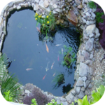 Live Lovely Koi Wallpaper for PC Live Lovely Koi Wallpaper for PC