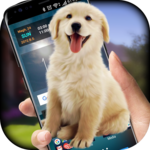 Dog on Screen Simulated icon