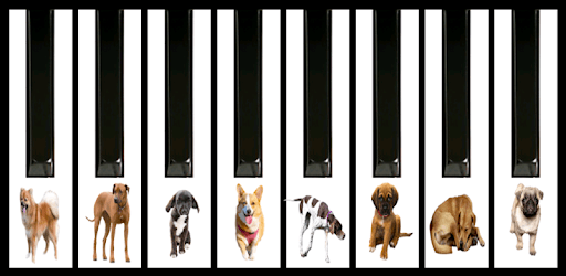 Dogs barking piano PC screenshot Dogs barking piano PC screenshot