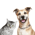 Dog Cat Animal Sounds for PC Dog Cat Animal Sounds for PC