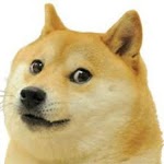 Sounds of Doge for PC