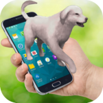 Dog on Screen Cute Dog Run in Phone Joke for PC Dog on Screen Cute Dog Run in Phone Joke for PC