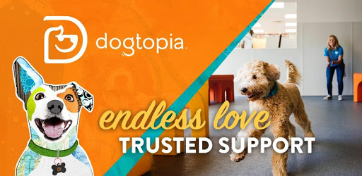 Dogtopia PC screenshot Dogtopia PC screenshot