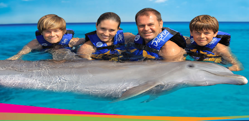 Dolphin Memories PC screenshot