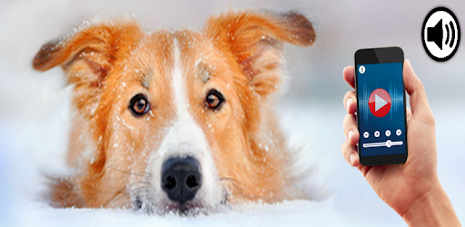Human to dog translator++ PC screenshot Human to dog translator++ PC screenshot