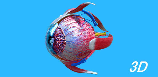 Anatomy Human Eye PC screenshot