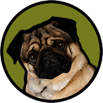 Pugzie Cute Pug Live Wallpaper icon