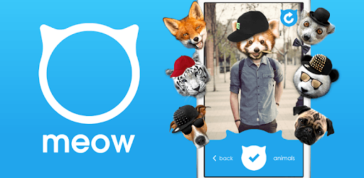 Meow Animal Face Photo Editor PC screenshot Meow Animal Face Photo Editor PC screenshot