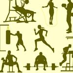 Gym Guide for PC Gym Guide for PC