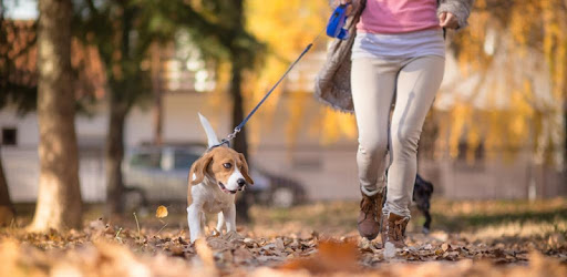 DoTimely Pet Sitting & Walking PC screenshot