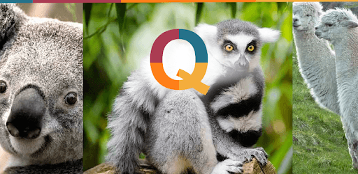 Animals Quiz - Learn the animals PC screenshot