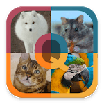 Animals Quiz - Learn the animals icon