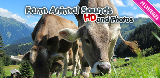 Farm Animal Sounds PC screenshot Farm Animal Sounds PC screenshot